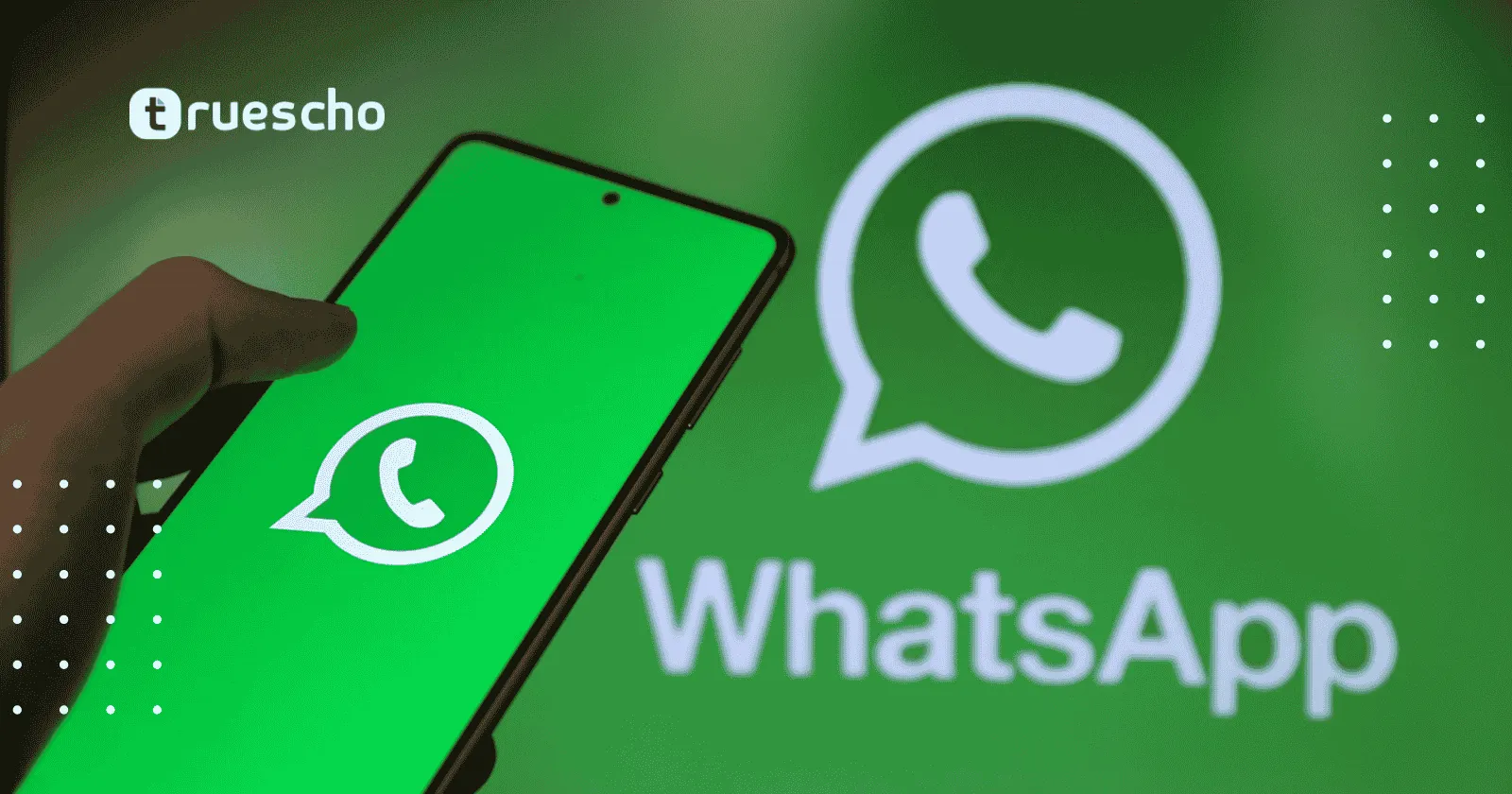 كيف أضيف زر واتساب إلى ووردبريس بدون استخدام إضافات