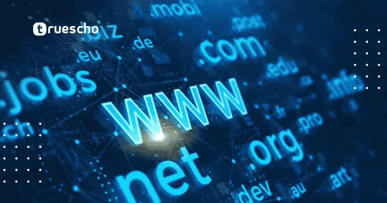 ربط دومين مسجل من شركة أخرى ببلوهوست