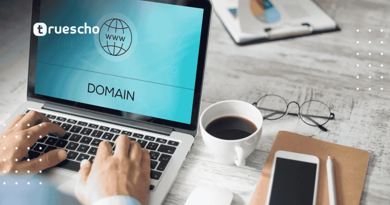 إدارة إعدادات DNS في لوحة تحكم بلوهوست