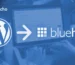 المشكلات الشائعة مع Bluehost